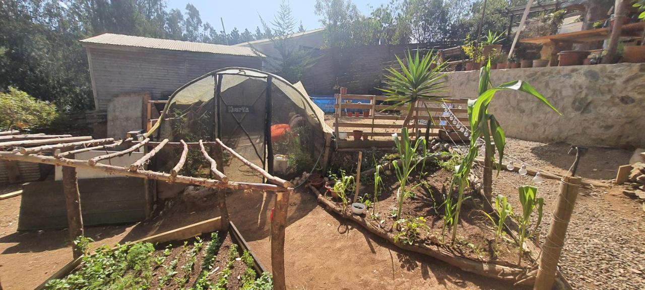 Casa de hóspedes Domo En Jungla Surfers Punta De Lobos 2 Pers.